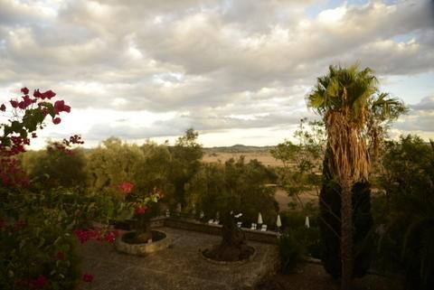 Puig Molto Montuiri (Mallorca)