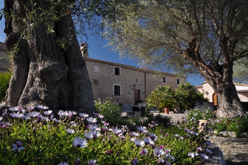 Puig Molto Hotel Montuïri